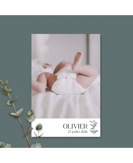 Faire-part naissance Branche d'olivier